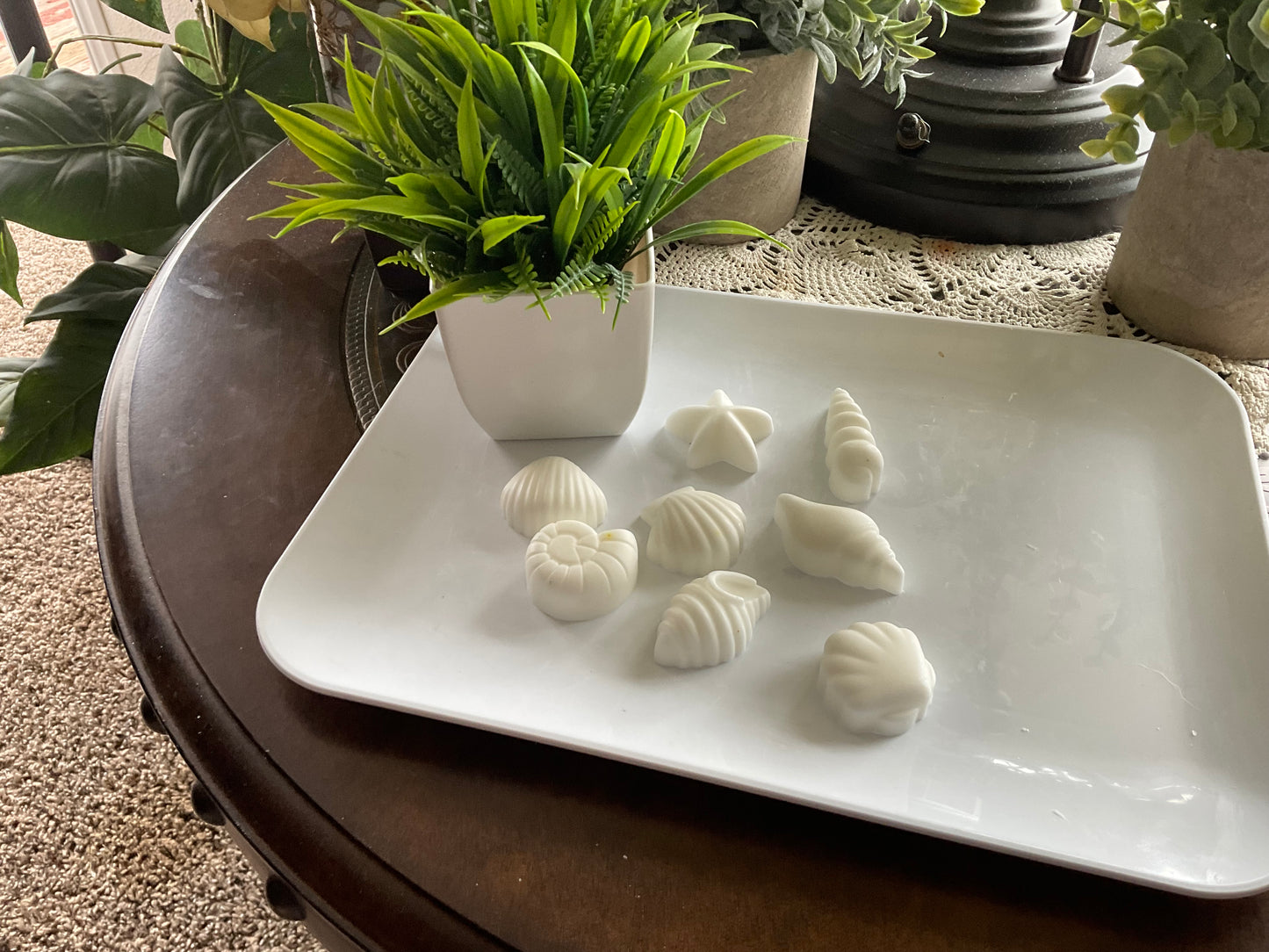 Lotion Sea Shells – Seashell-Shaped Solid Lotion Bars (Triple Butter Moisturizer)