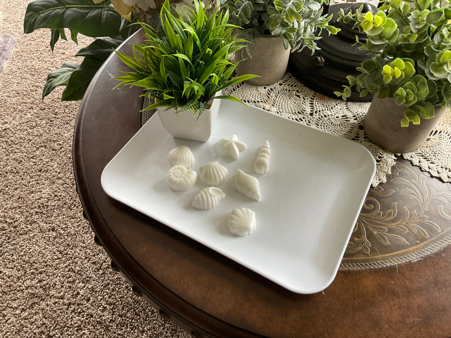 Lotion Sea Shells – Seashell-Shaped Solid Lotion Bars (Triple Butter Moisturizer)